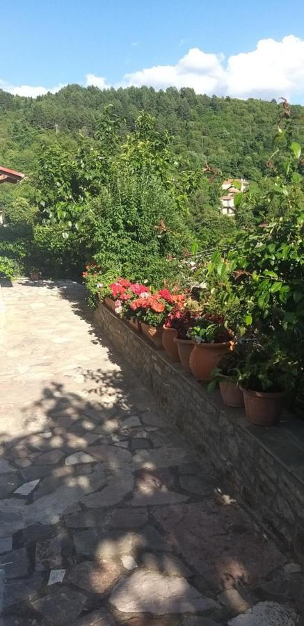 卡尔派尼西翁Το Σπίτι Της Ευτυχίας Σουίτα公寓 外观 照片